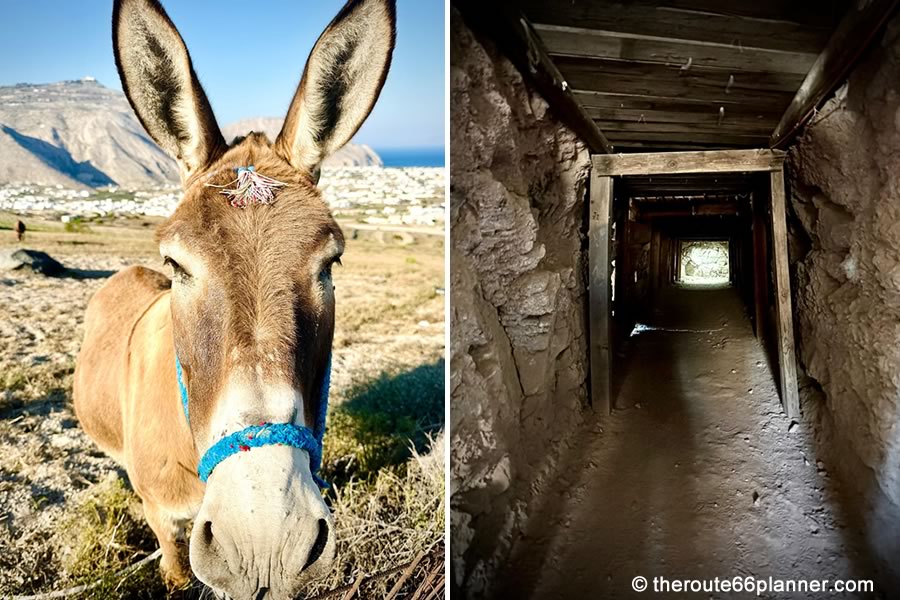 Oatman Route 66
